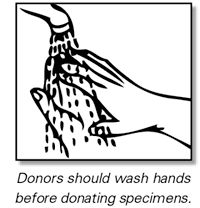 Have Donor Wash Hands
