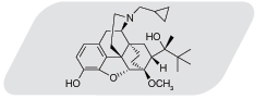 bup_structure