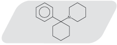 pcp_structure